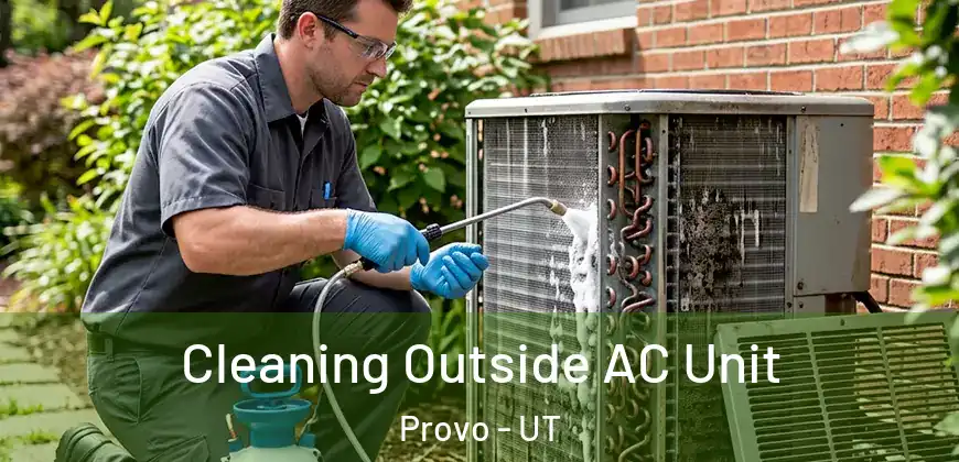 Cleaning Outside AC Unit Provo - UT